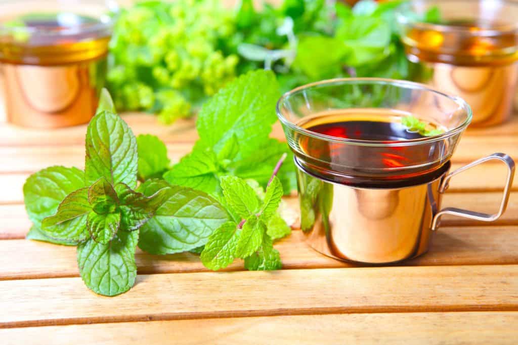Does Lemon balm Tea Make you Sleepy